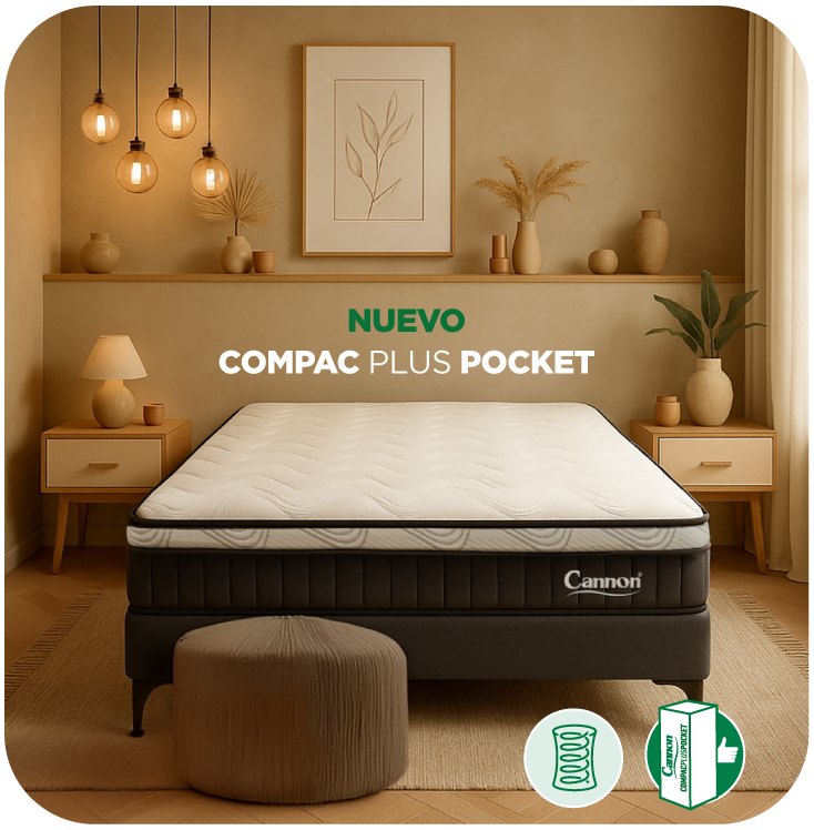 Lanzamiento especial exclusivo